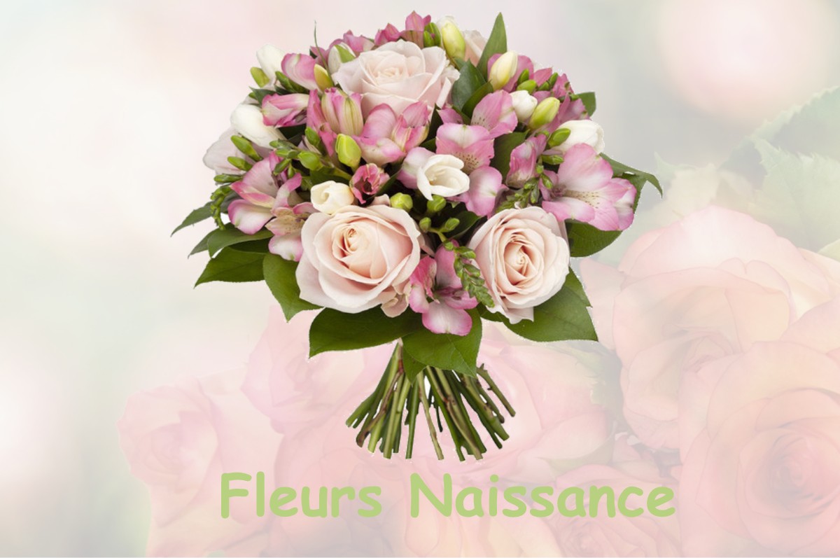 fleurs naissance LA-GUERCHE-DE-BRETAGNE