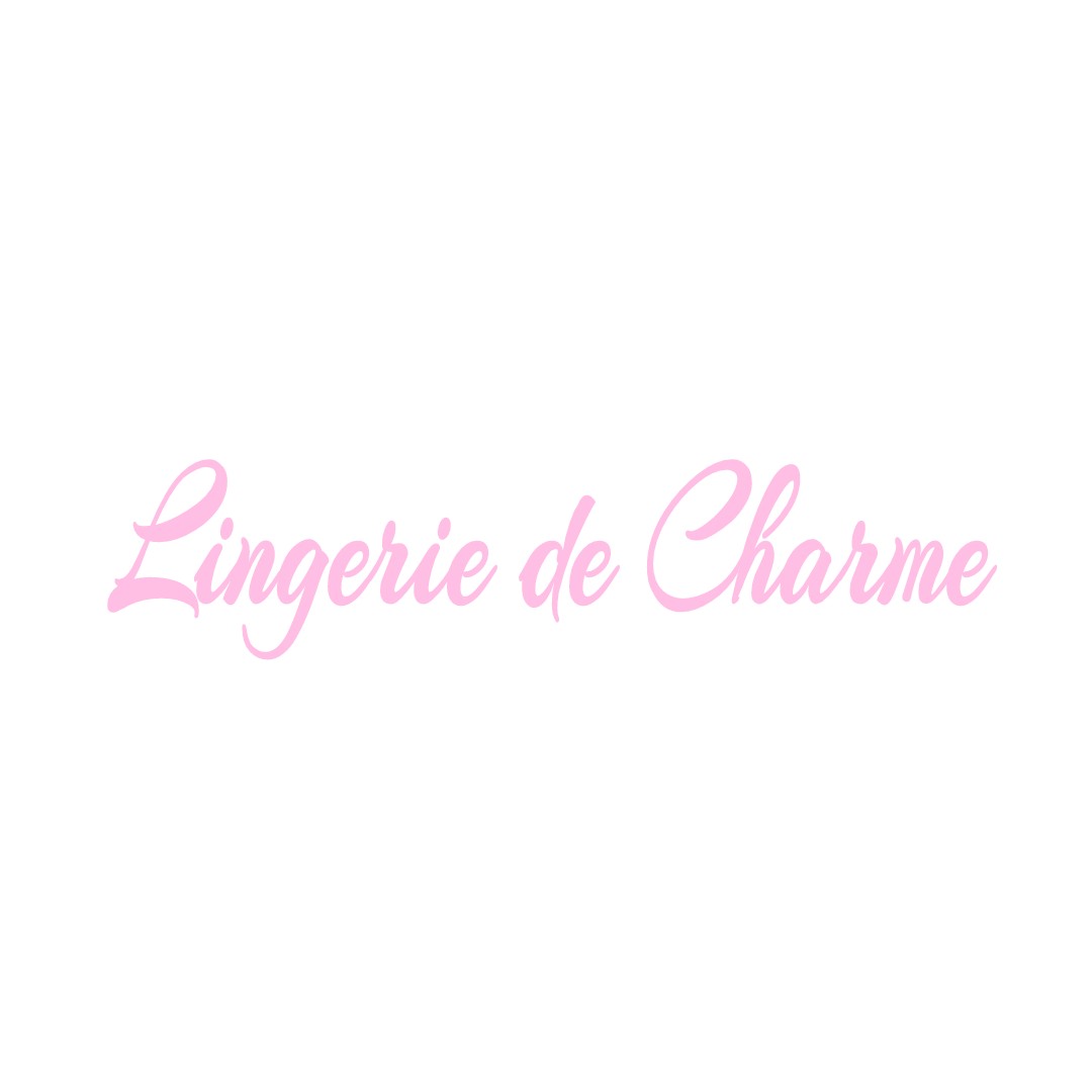 LINGERIE DE CHARME LA-GUERCHE-DE-BRETAGNE